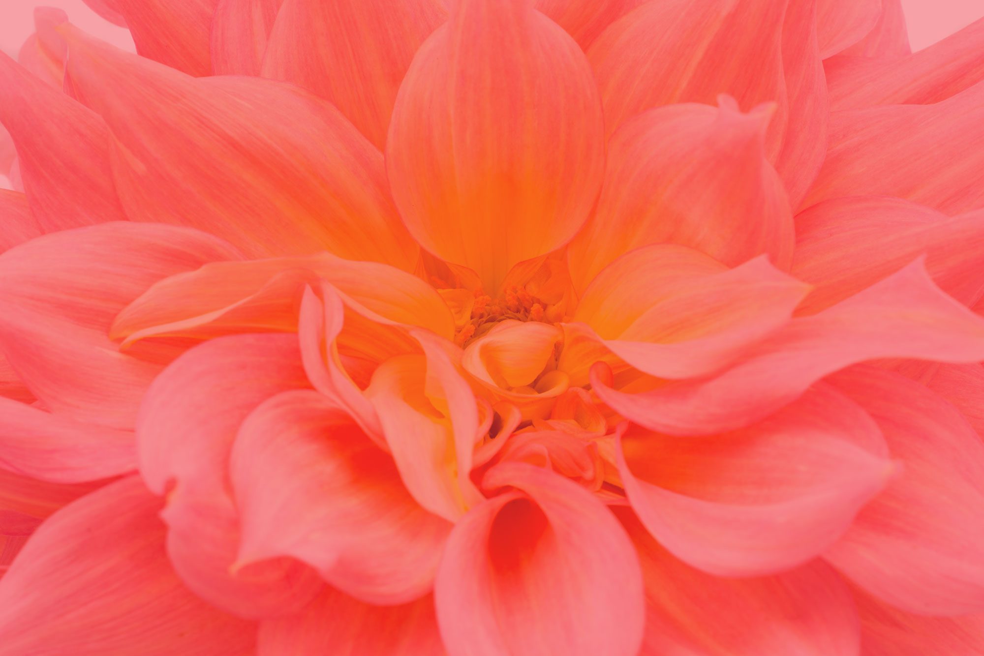 Meditation quantique L